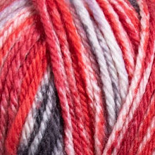 Indlæs billede til gallerivisning Raggi 100 Gram