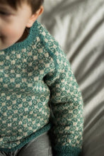 Indlæs billede til gallerivisning Louis Sweater